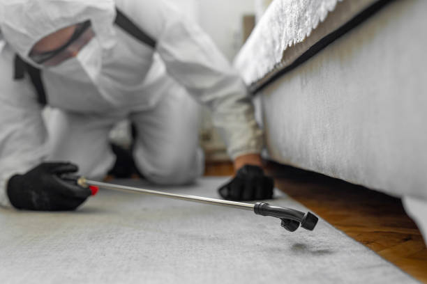 Professional Bed Bug Control technician working in Olmsted Falls, OH
