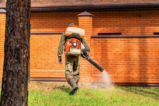 Trusted Emergency Pest Control service in Olmsted Falls, OH - Nex Pest Control